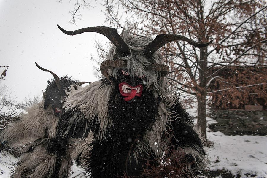 Krampusse